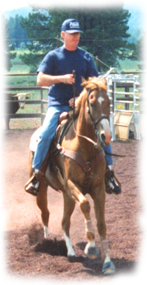 man-riding-with-in-a-horse